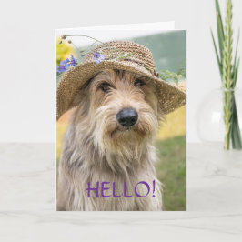 FESTIVA TARJETA PARA PERRO ELEGANTE - PENSANDO EN TI