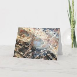 Festiva Tarjeta Petrified Wood Blank