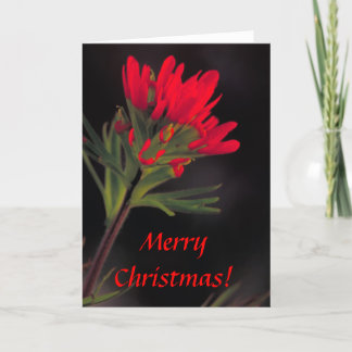 Festiva Tarjeta / Pincel indio / Navidades