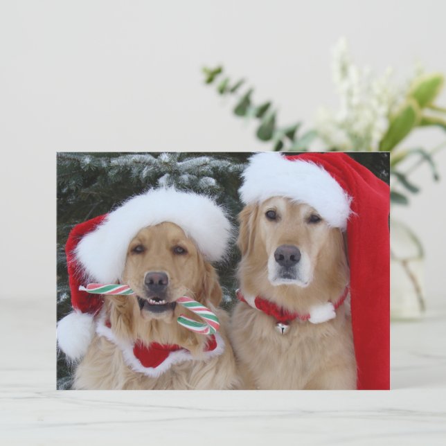 Festiva Tarjeta plana Cute Navidades Golden Retrivers (Anverso de pie)