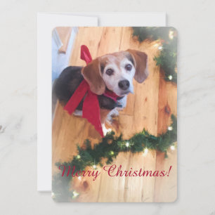 Festiva Tarjeta plana de beagle navideña