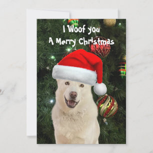 Festiva Tarjeta plana de Crystal's The Husky Dog Navidades