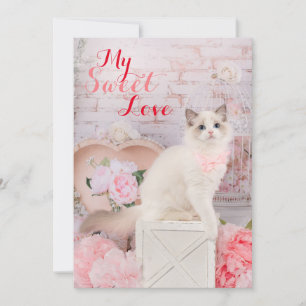 Festiva Tarjeta plana de gatito Ragdoll para vacaciones