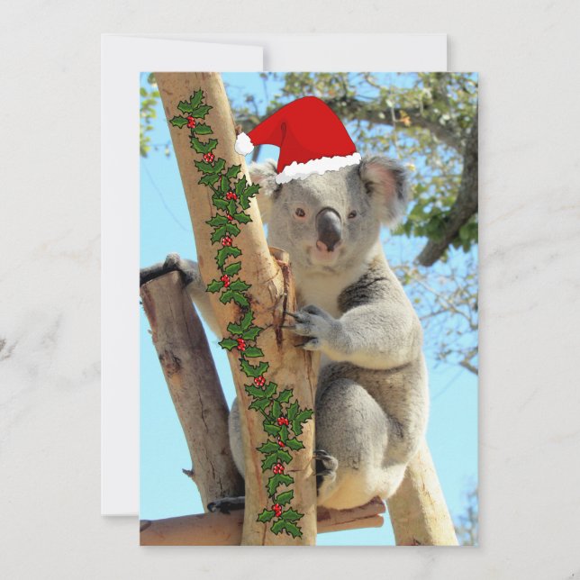 Festiva Tarjeta plana de Navidades Koala (Anverso)