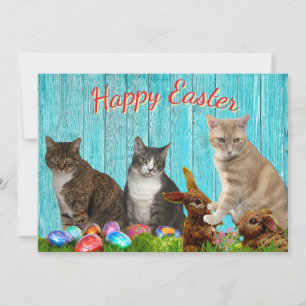 Festiva Tarjeta plana de Pascua - Gatos y conejos