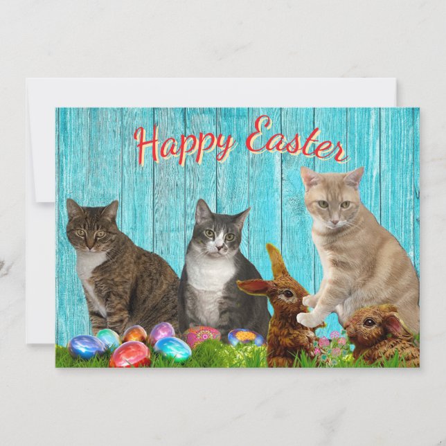 Festiva Tarjeta plana de Pascua - Gatos y conejos (Anverso)