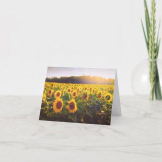 Festiva Tarjeta plegada de agradecimiento a los girasoles