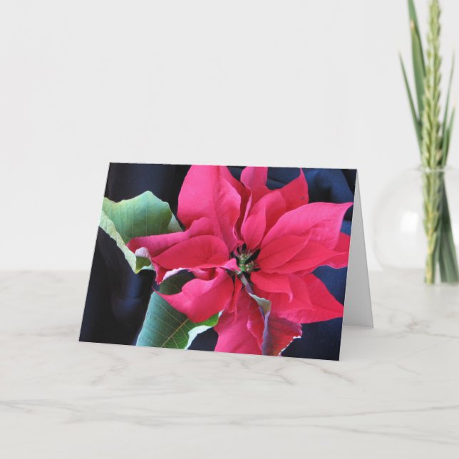 Festiva Tarjeta Poinsettia (Anverso)