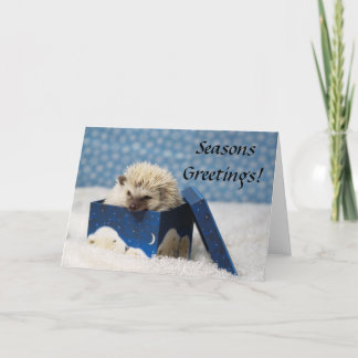 Festiva Tarjeta Polar Pog "Seasons Greetings"