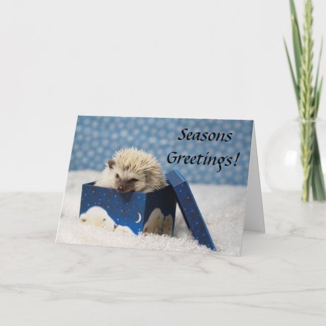 Festiva Tarjeta Polar Pog "Seasons Greetings" (Anverso)