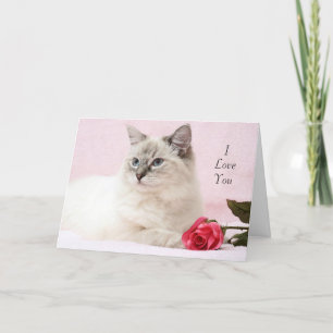 Festiva Tarjeta Ragdoll Valentine