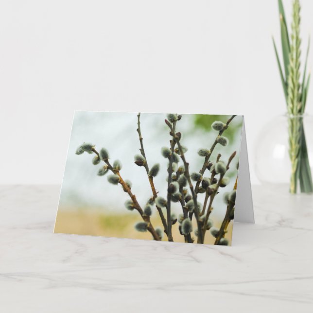 Festiva Tarjeta religiosa de Pascua con ramas Pussy Willow (Anverso)