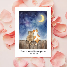Festiva Tarjeta Romántica Divertida de Gatos para San Vale