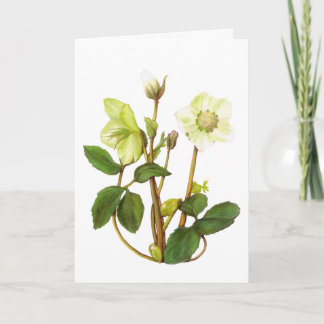 Festiva Tarjeta Rosa de navidades
