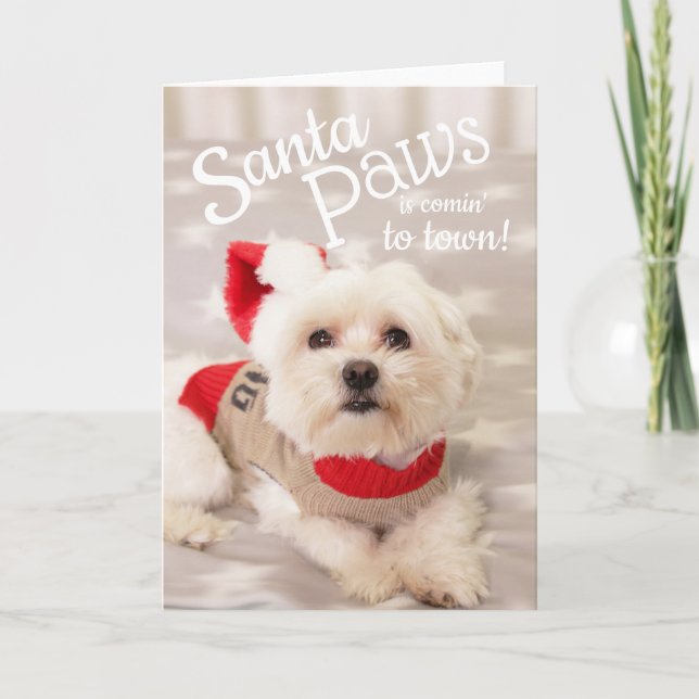 Festiva Tarjeta Santa Navidades de perro maltés (Anverso)