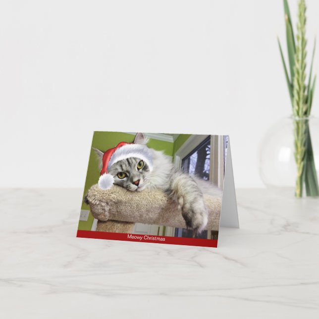 Festiva Tarjeta siberiana para Navidades gatos (Anverso)