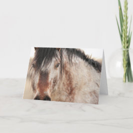 Festiva Tarjeta Sir Behr Blank