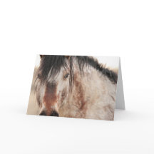 Tarjeta Sir Behr Blank