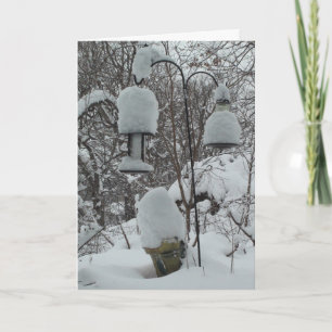 Festiva Tarjeta Snowbird de invierno del medio oeste humor