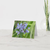 Tarjeta Virginia bluebell (Mertensia virginica)