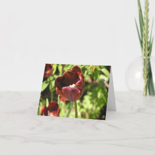 Festiva Tarjeta "Zoomerschoom" de Tulip