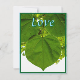 Festiva Te amo como la tarjeta de vacaciones Leaf Flat del
