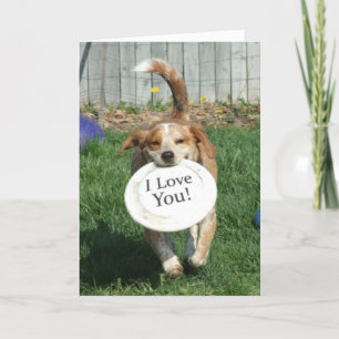 Festiva Te Amo La Tarjeta De Saludo De Perro