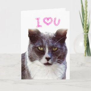 Festiva Te Amo San Valentín De Tu Tarjeta De Felicitación