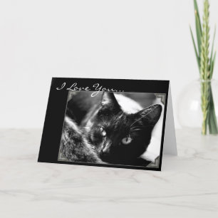 Festiva Te amo tarjeta de saludo de gato negro