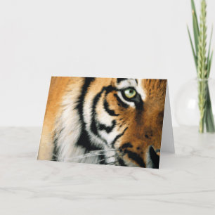 Festiva Tigre 2 - Tarjeta de felicitación