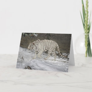 Festiva Tigre blanco que acecha en tarjeta del día de