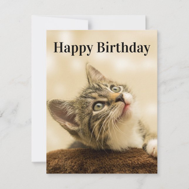 Festiva Título de edición de la tarjeta de gatito (Anverso)