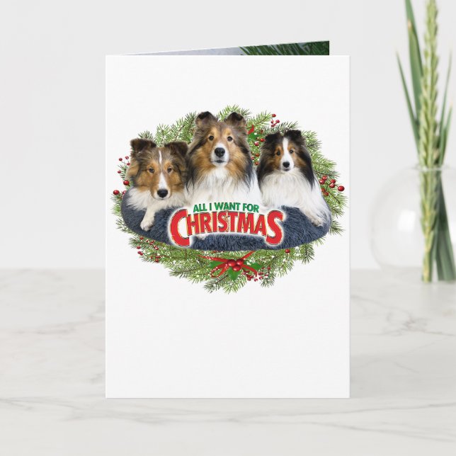 Festiva "Todo lo que quiero para Navidad" Tarjeta de Navid (Anverso)