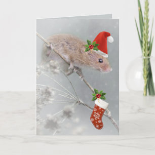 Festiva Todos los ajustes para tarjeta de Navidades de San