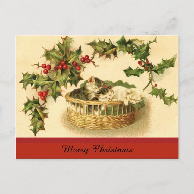 Festiva Tres gatitos en una postal de cesta (Anverso)