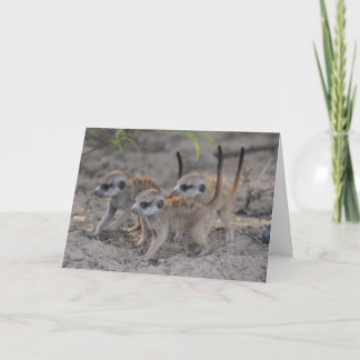Festiva Tres perritos sabios - tarjeta de felicitaciones