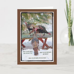 Festiva Trío de Pavos de Acción de Gracias Tarjeta - Bendi