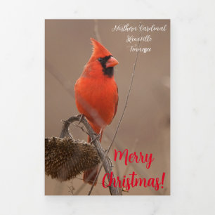 Festiva Tríptica Tarjeta de "Feliz Navidad" con cardenal