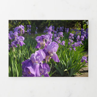 Festiva Tríptica Tarjeta maltratada y maltratada