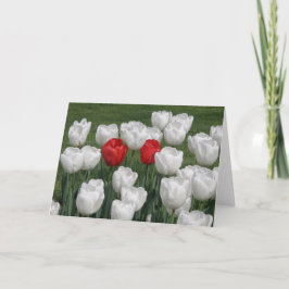 Festiva Tulipanes de la tarjeta del día de San Valentín