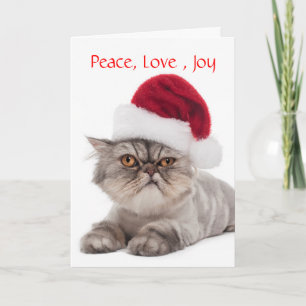 Festiva Un gato tonto con tarjeta de Navidades de Santa Ha