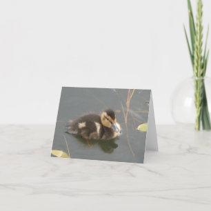 Festiva Una pequeña tarjeta de felicitación de duckling