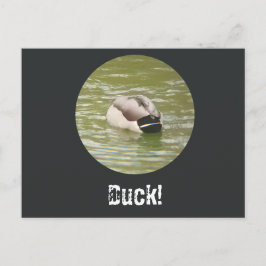 Festiva Una postal de un pato agachado