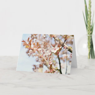 Festiva Una tarjeta de felicitación en blanco de 7 x 5''