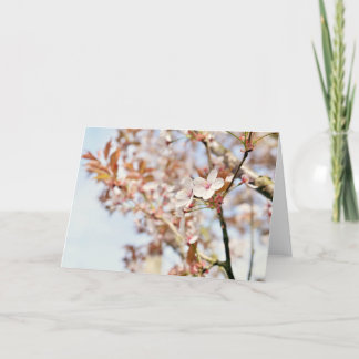 Festiva Una tarjeta de felicitación en blanco de 7 x 5''