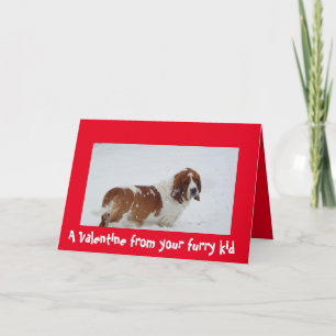 Festiva Una tarjeta del día de San Valentín del perro con