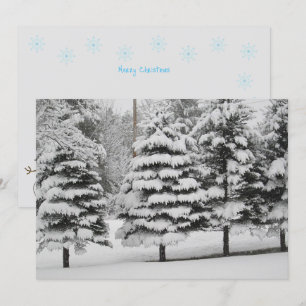 Festiva Viento de Vermont en la tarjeta plana de B&W