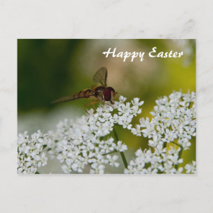 Festiva Volar en una florida postal de Pascua feliz