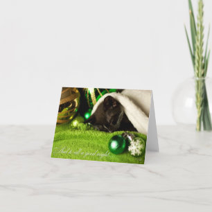 Festiva Y a todo el una tarjeta del gatito de las buenas