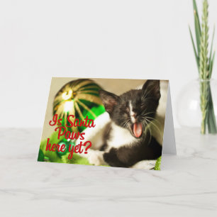 Festiva ¿Ya Está Aquí Santa Paws? Tarjeta